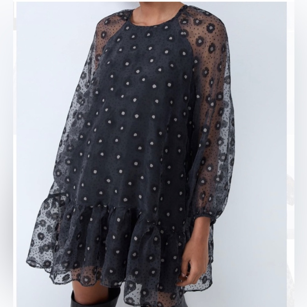Zara Printed Organza Dress